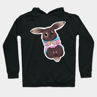 transgender bunny Hoodie